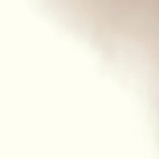 김세정