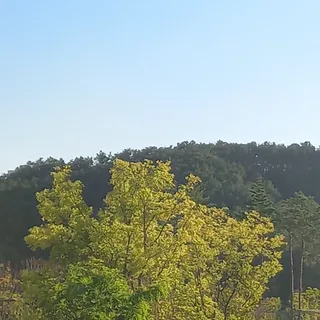 상담사